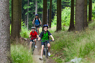 Radfahren im Nationalpark Bayerischer Wald